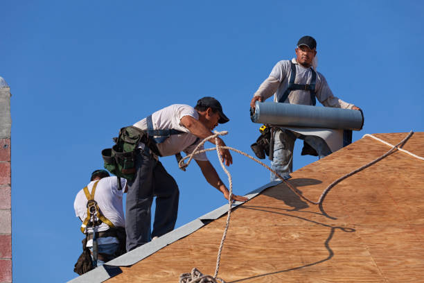 Best Emergency Roof Repair  in Butte, AK