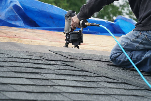 Best Storm Damage Roof Repair  in Butte, AK