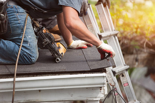 Roof Gutter Cleaning in Butte, AK
