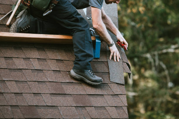 Best Roof Gutter Cleaning  in Butte, AK