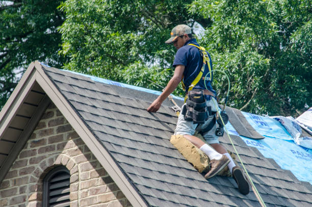 Professional Roofing Contractor in Butte, AK